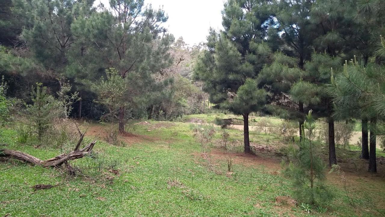 Chale Estancia Ouro Verde Lages Buitenkant foto