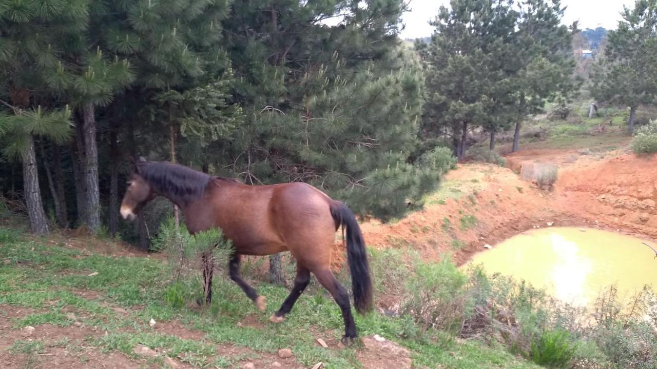 Chale Estancia Ouro Verde Lages Buitenkant foto